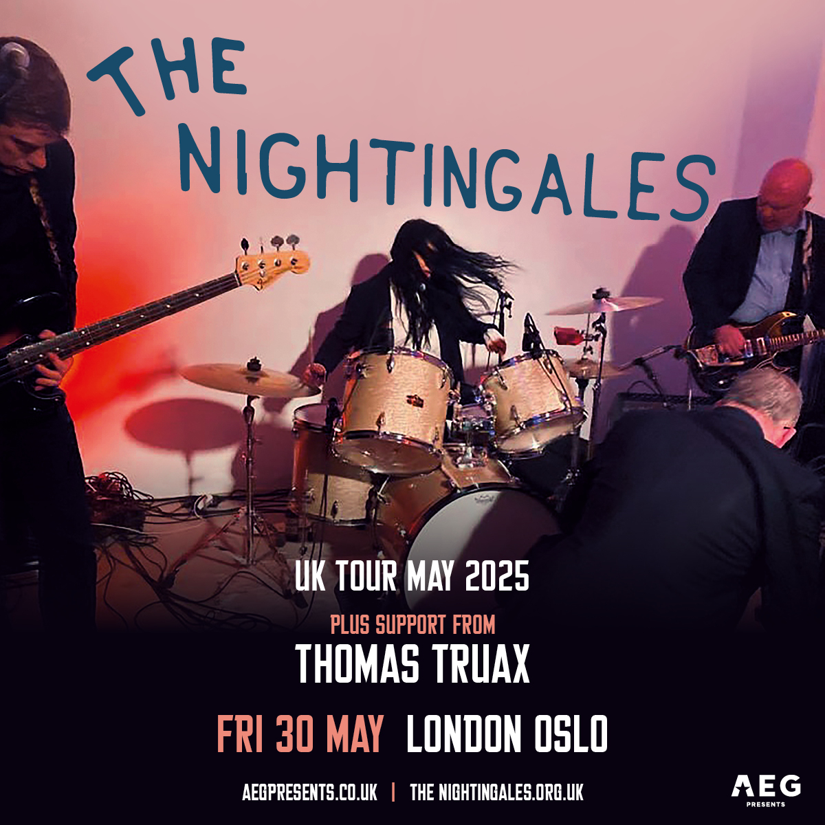 THE NIGHTINGALES POSTER