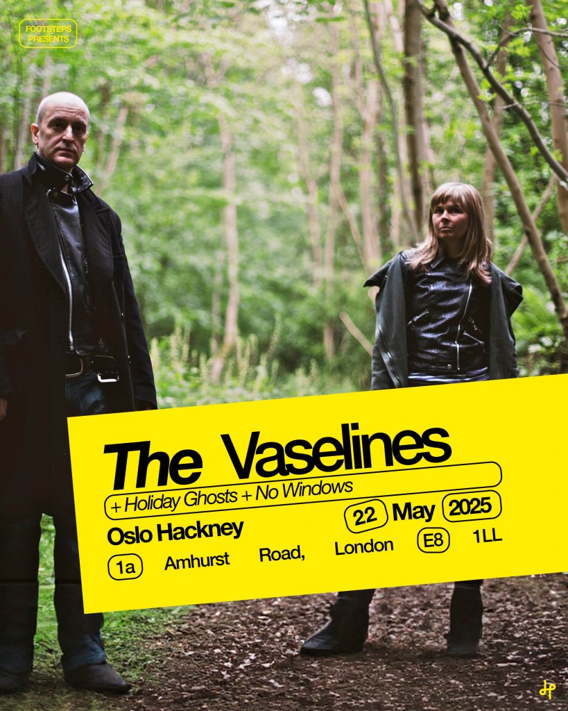 THE VASELINES POSTER